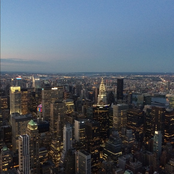 Meet your Posher, Bailey - Picture 1 of 1